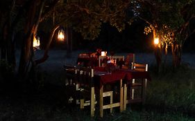 Talek Bush Camp , Masai Mara