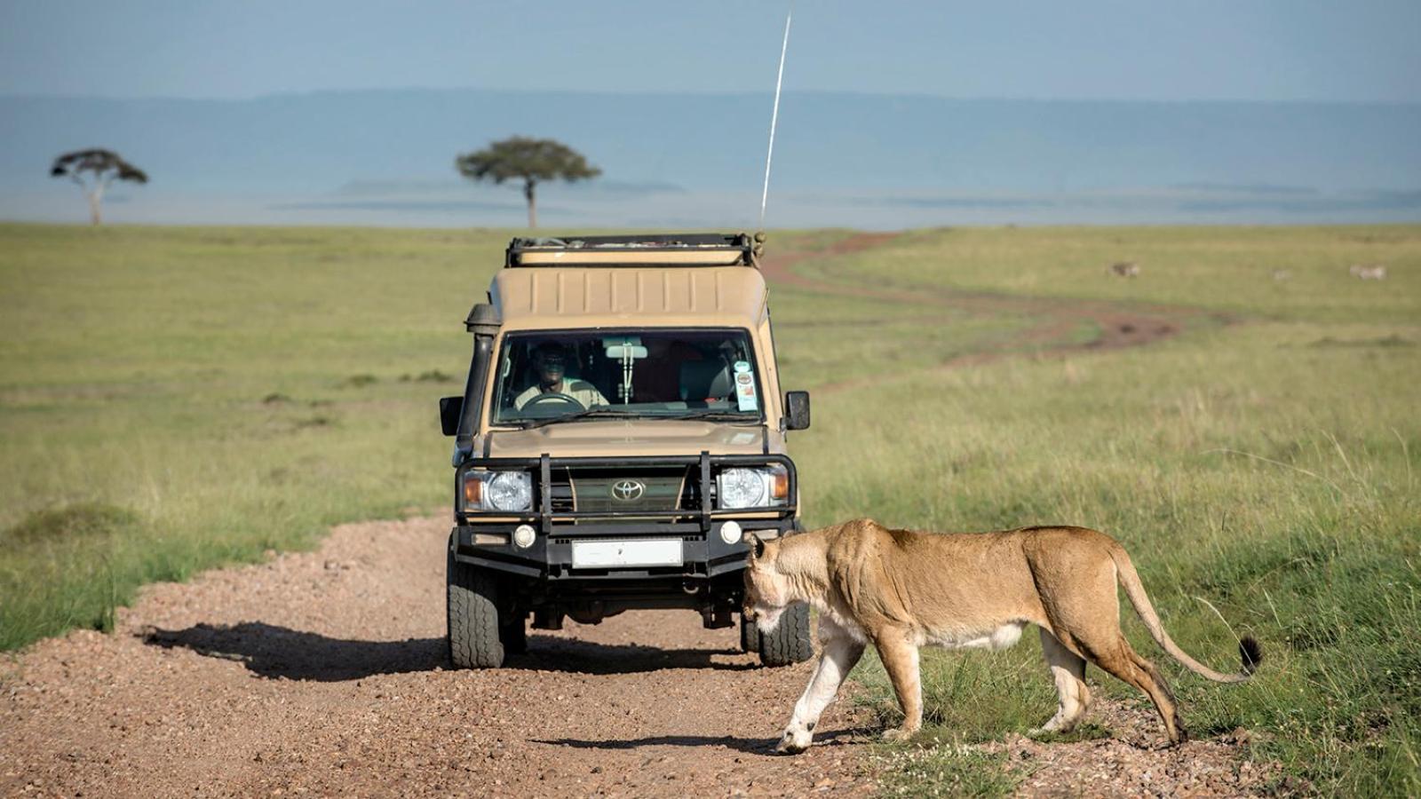 Talek Bush Camp , Masai Mara Hotel Buitenkant foto