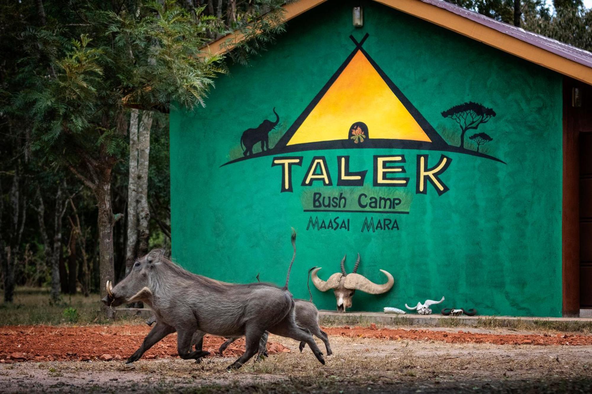 Talek Bush Camp , Masai Mara Hotel Buitenkant foto